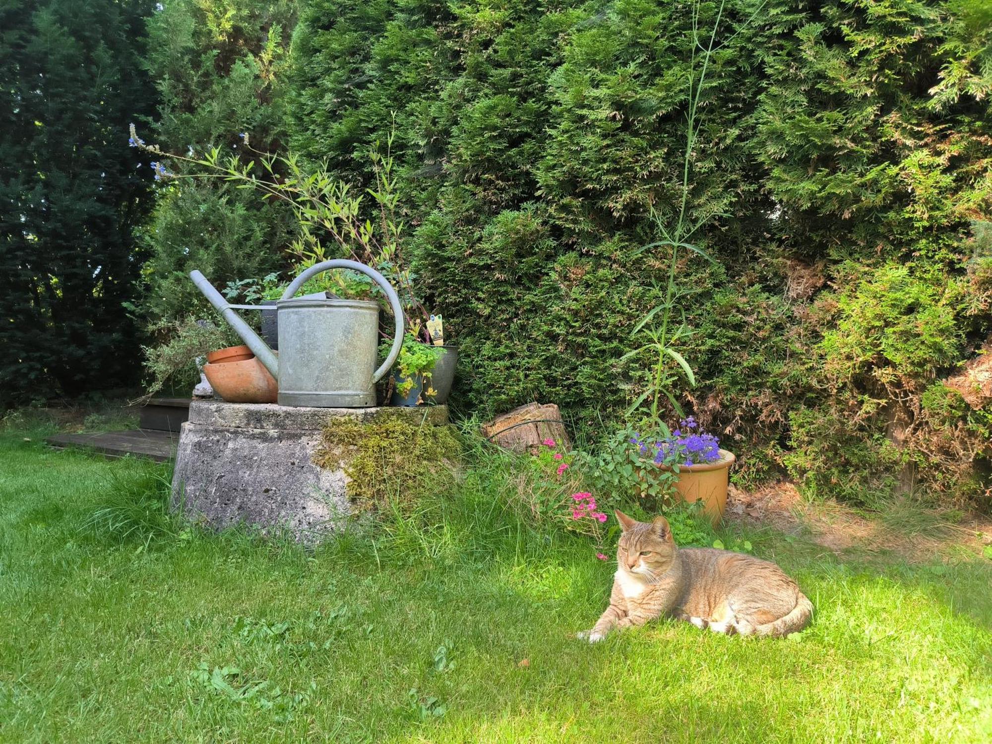 Ferienhaus Inger - Stilvolles Und Modernes Ferienhaus Mit Terrasse Und Gartennutzung Tarp Esterno foto